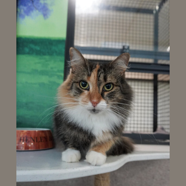 Photo of Mable