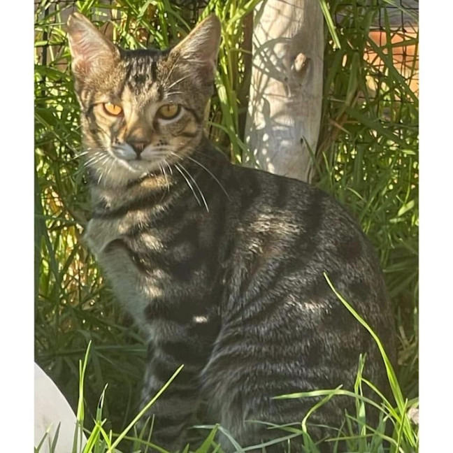 Photo of 11541   Ryan 