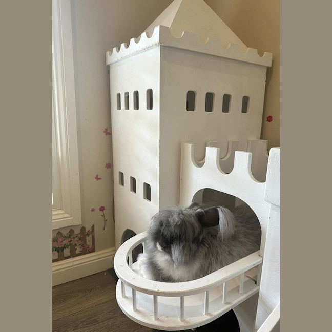 Photo of Pebbles (W Cotton Candy)