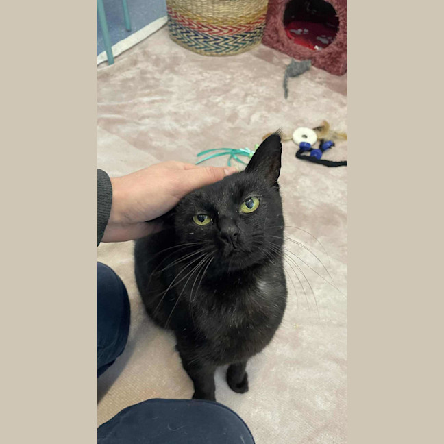 Photo of Tuppence