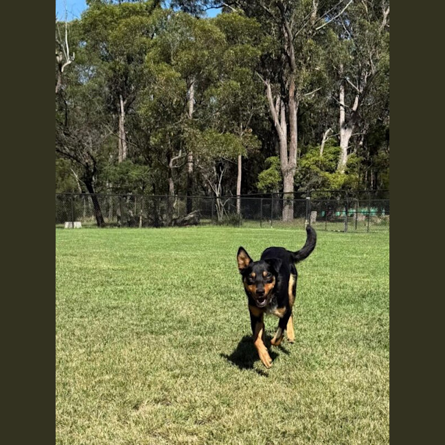 Photo of Albie