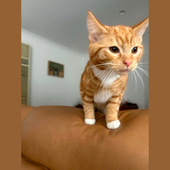 Photo of Georgie