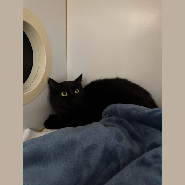 Photo of Wednesday