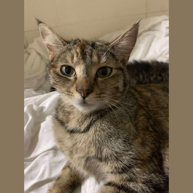 Photo of Bonnie 