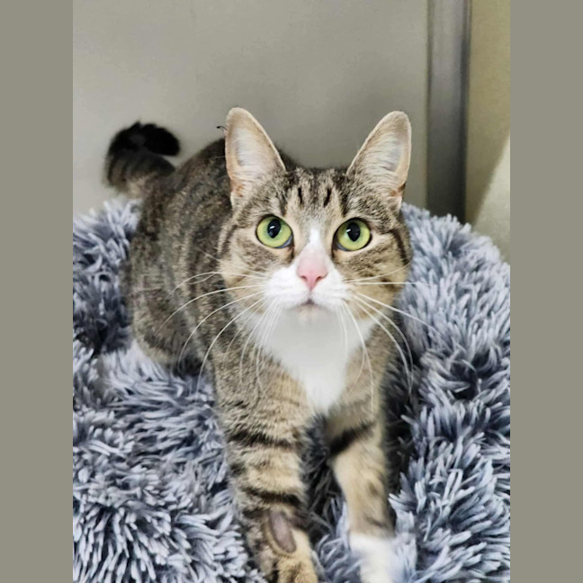 Photo of 🎭 Mischief 6423 🎭