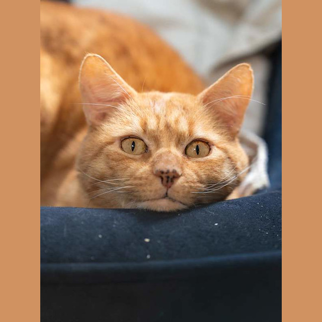 Photo of Tim