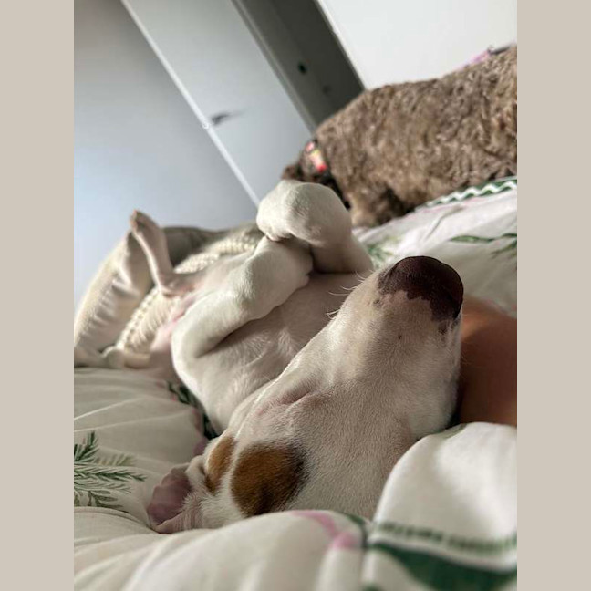 Photo of Max