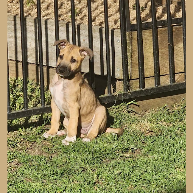Photo of Reggie