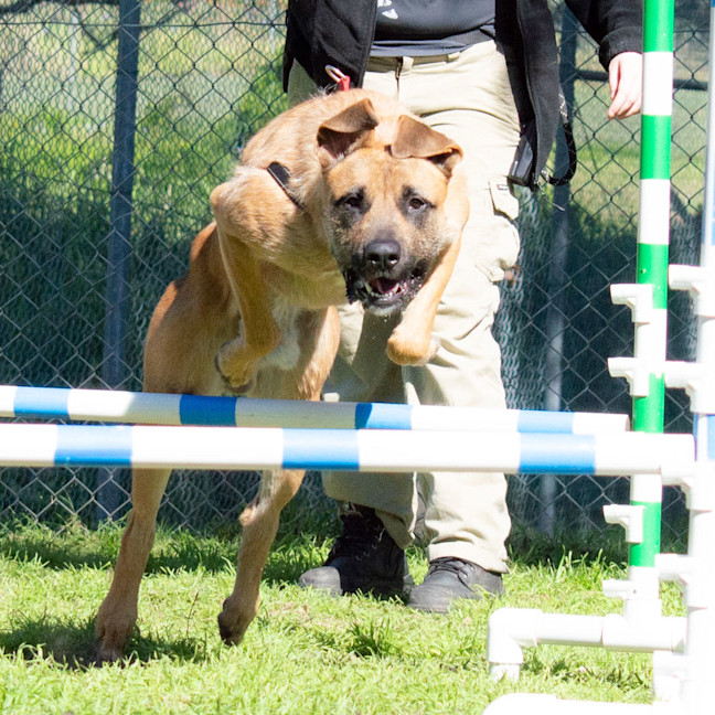 Photo of Scrap