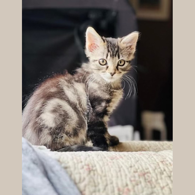 Photo of Taylah