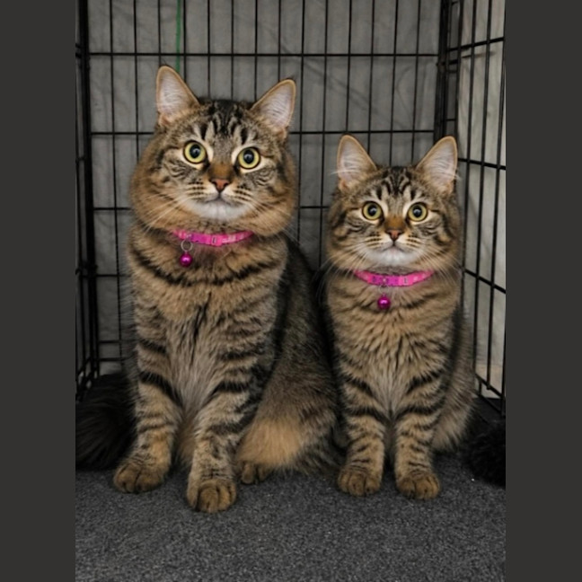 Photo of Mae