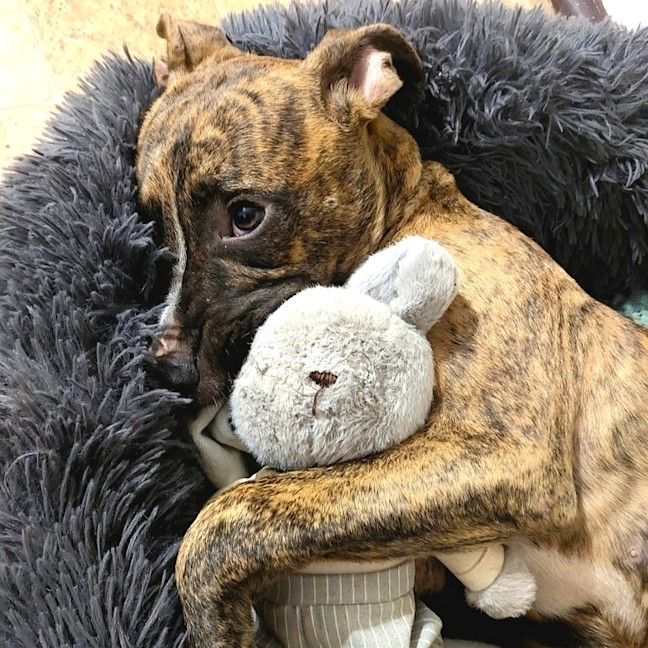 Photo of Ernie