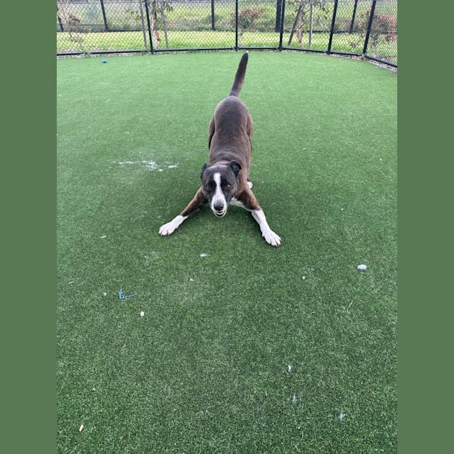 Photo of Rosie Imp 1897