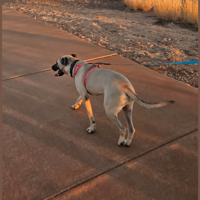 Photo of Marcel (Max)