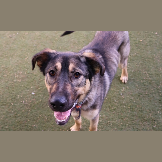 Photo of Delilah 