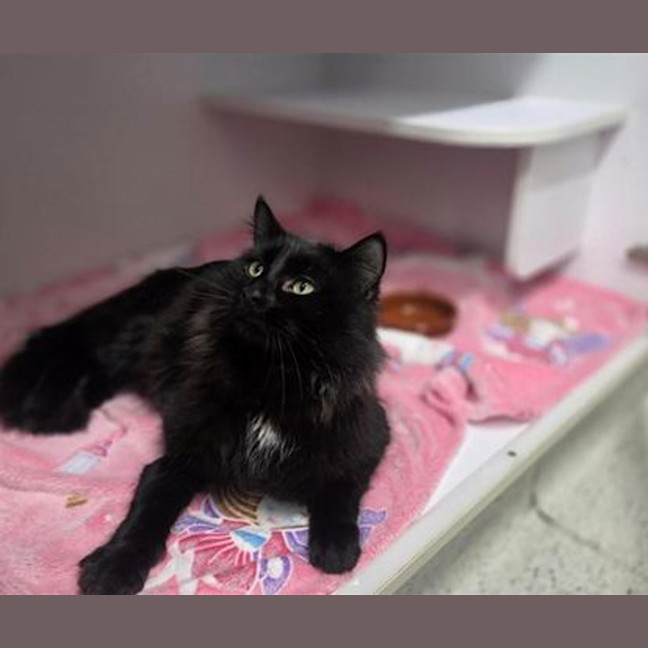 Photo of Buddy