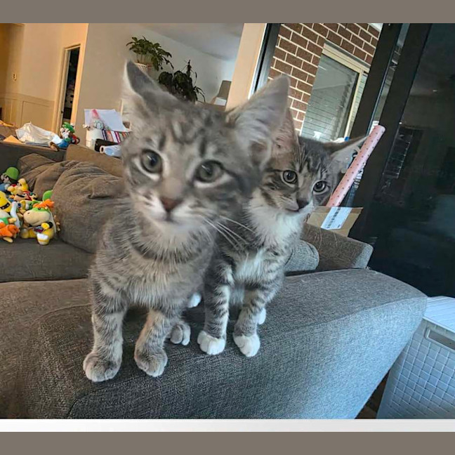 Photo of Jean Luc & Socks