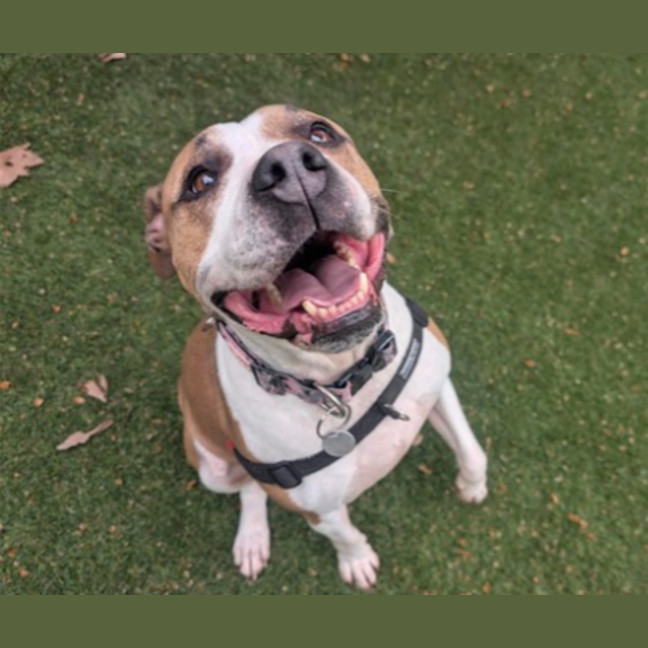 Photo of Roxy