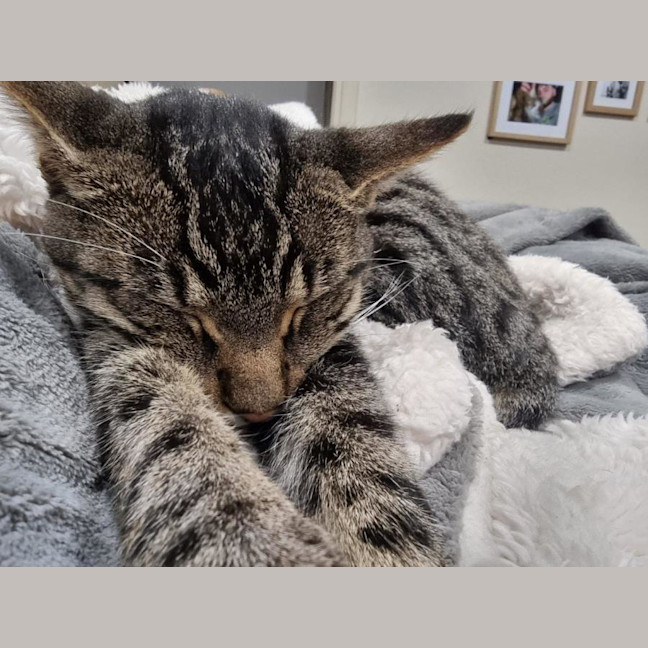 Photo of Willy Moriarty