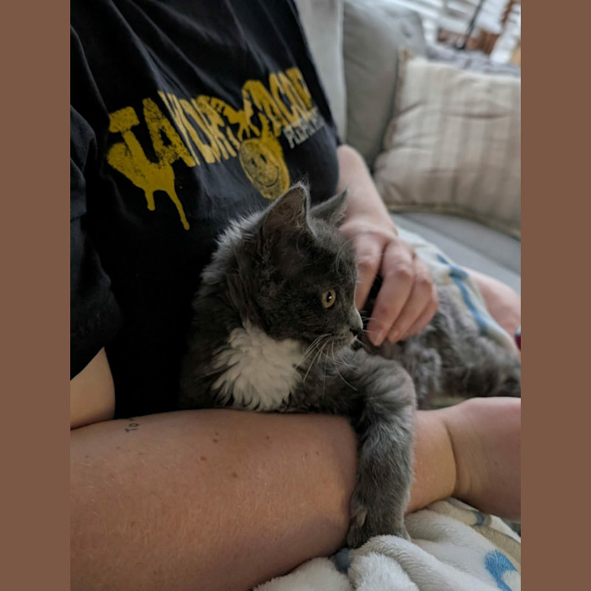 Photo of Violet