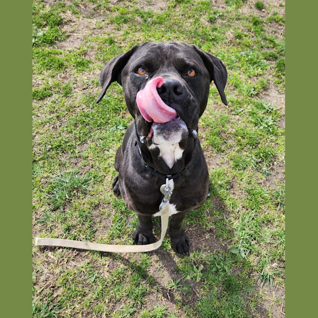 Photo of Freya (66828)