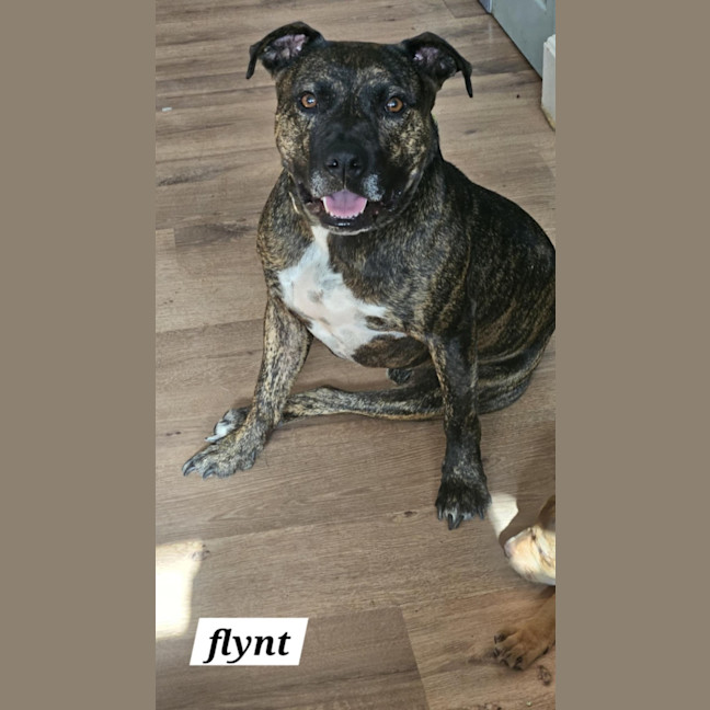 Photo of Flynt