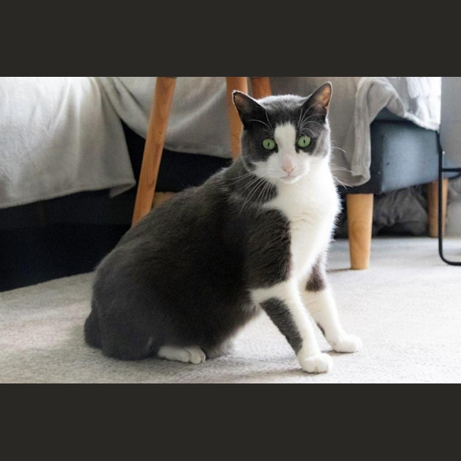 Photo of Billy Ebsworth