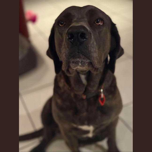 Photo of Polly