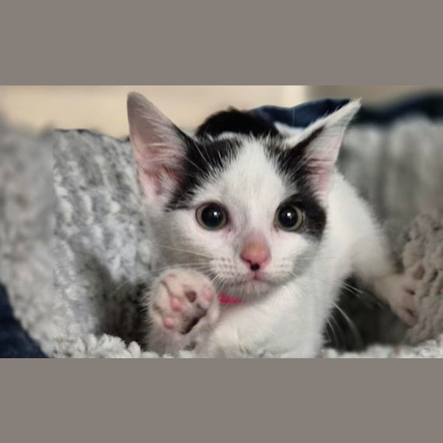 Photo of Maggie