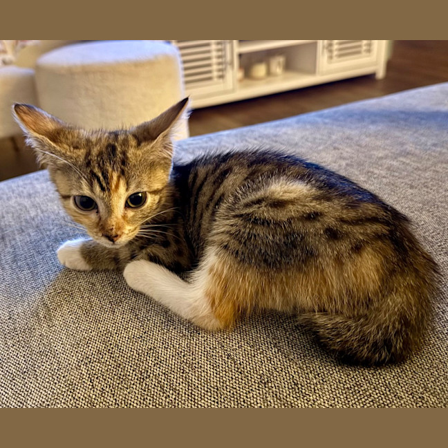 Photo of Ruby