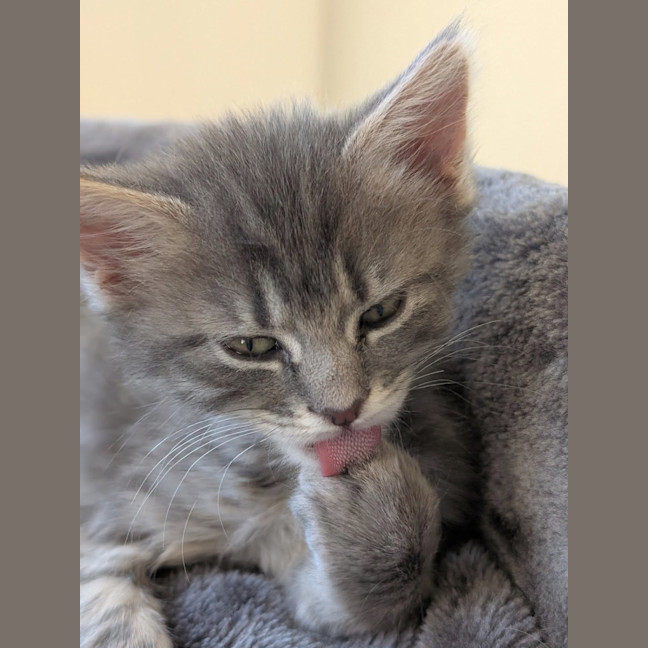 Photo of Evelyn