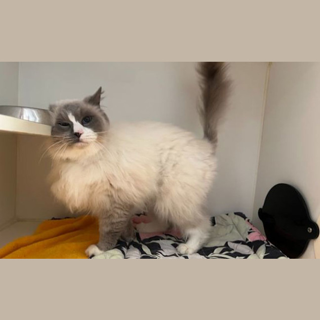 Photo of Mr. Ramekin 