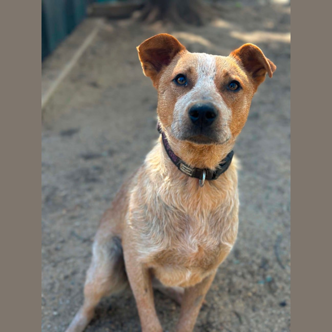 Photo of Bingo 