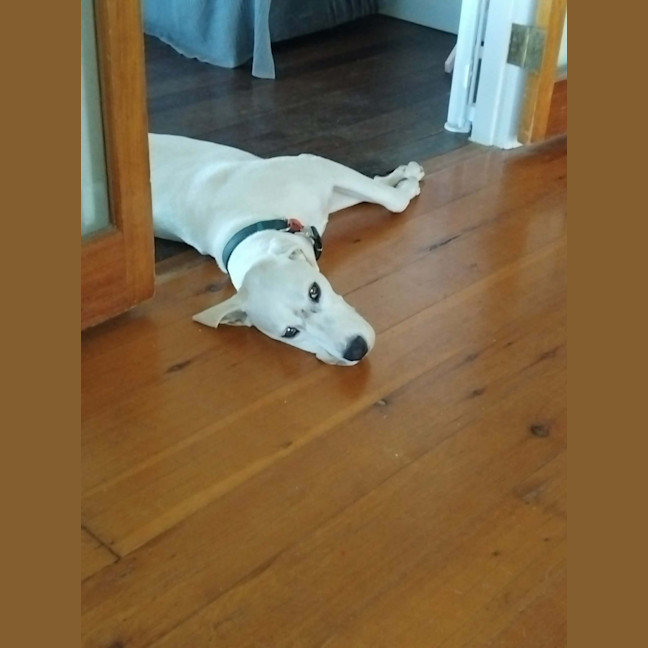 Photo of Minty