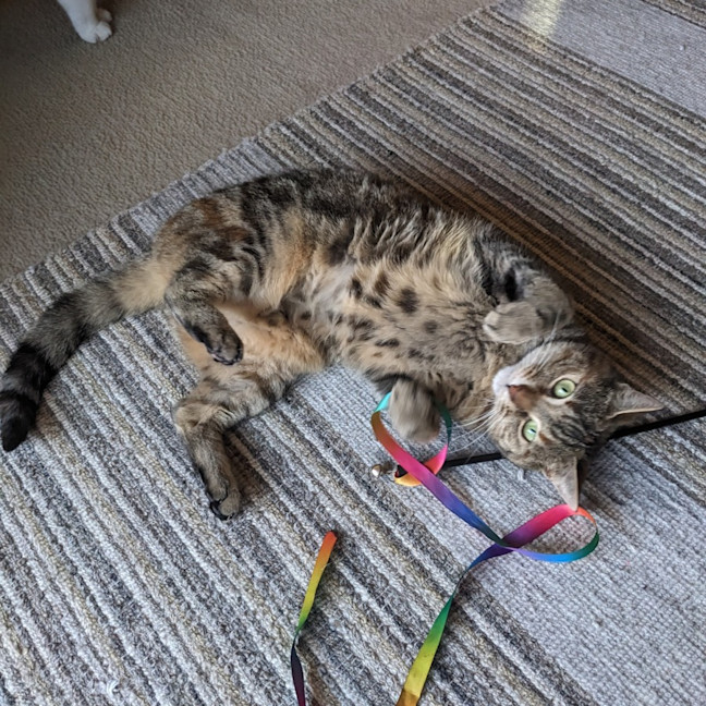 Photo of Elvina   Located In Coburg