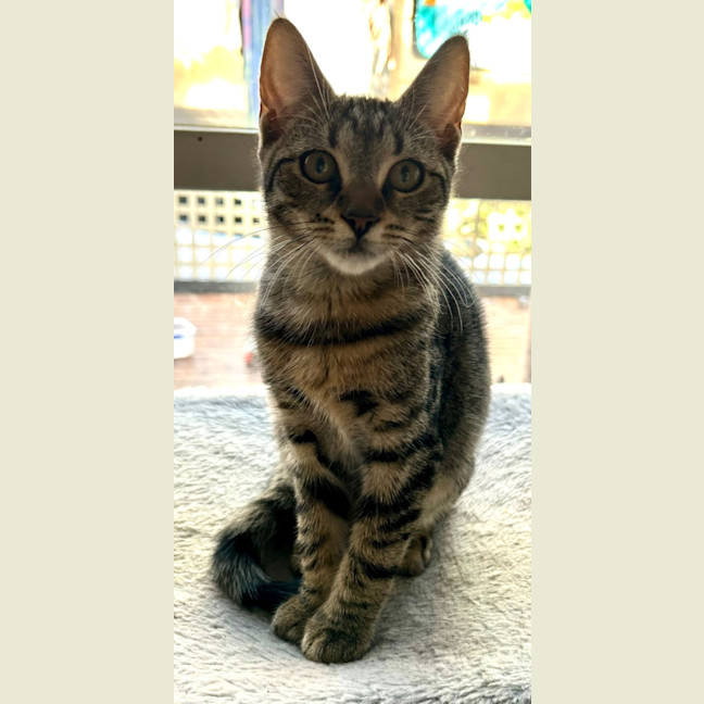 Photo of Tina