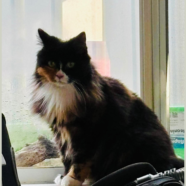 Photo of Sarah