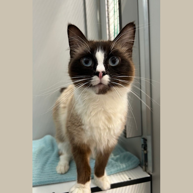 Photo of Skye