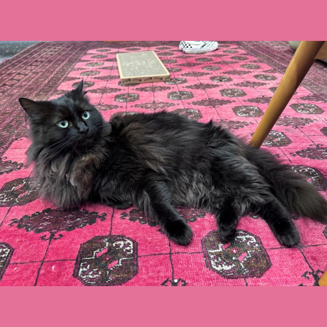 Photo of Sootie Uffelman