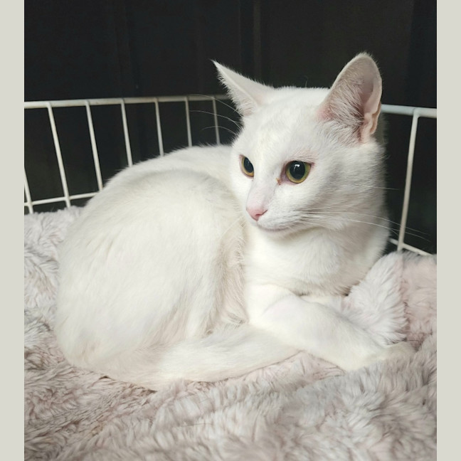 Photo of Mackenzie And Faith