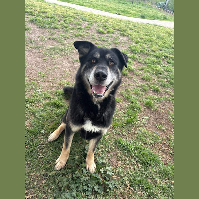 Photo of Zeus 