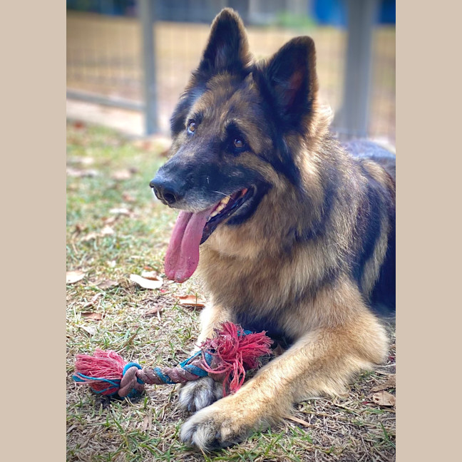 Photo of Axel