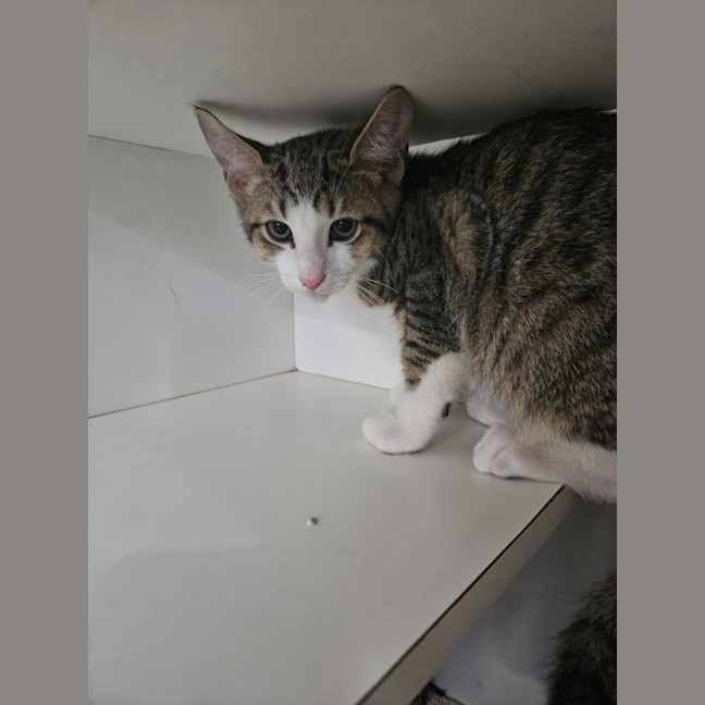 Photo of Bruce