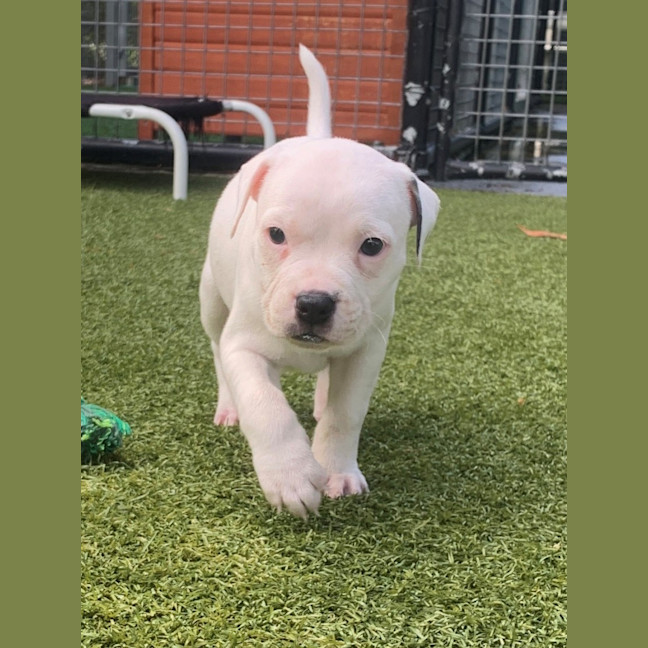 Photo of D1110 Kendrick