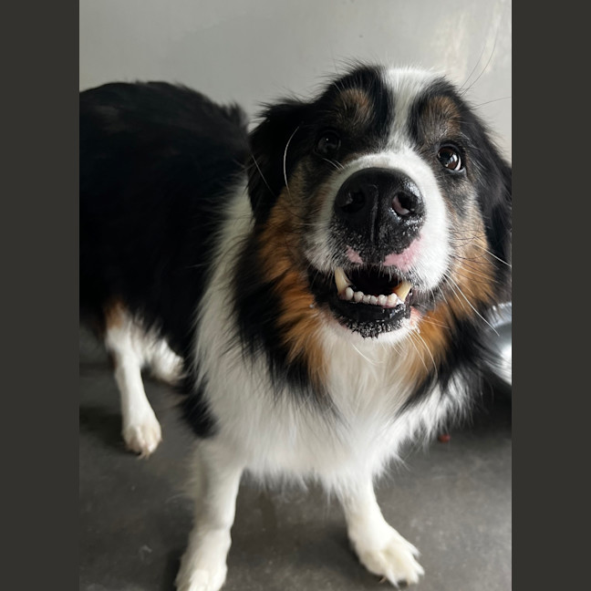 Photo of Colonel