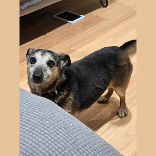 Photo of Barney Lozano