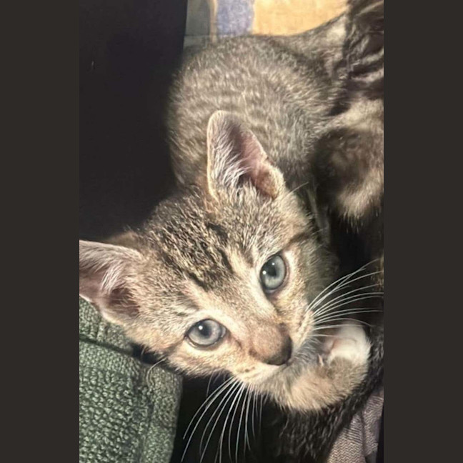 Photo of Eddie