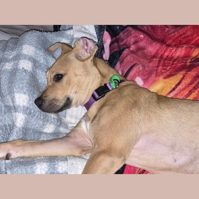 Photo of Matilda