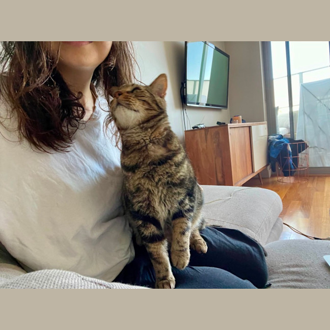 Photo of Kai *9 Lives Project Rescue*