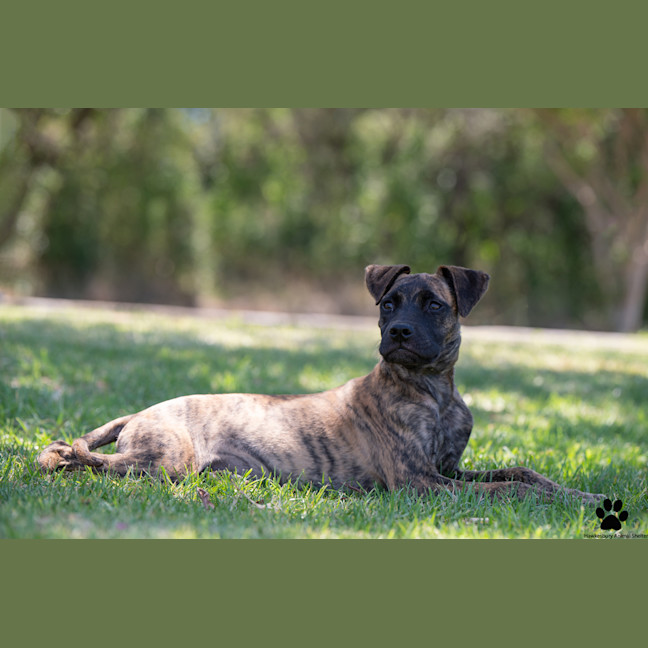Photo of Maggie